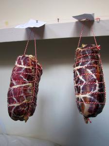 coppa011
